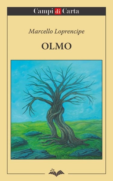 Olmo